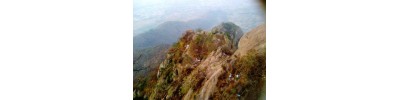 பர்வதமலை